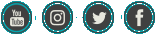 Iconos Redes Sociales