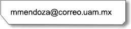 Correo-e: mmendoza@correo.uam.mx